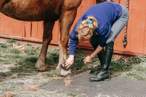 有关動物, 哺乳動物, 女人的免费素材图片