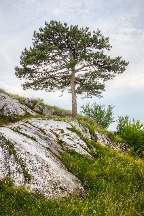 有关垂直拍摄, 天性, 山的免费素材图片