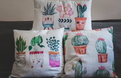 有关Throw Pillows, 植物印刷, 沙发的免费素材图片