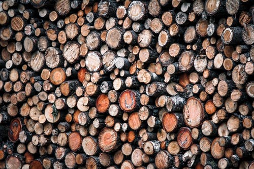 有关(使)丰满, 乾的, 升火的木柴的免费素材图片
