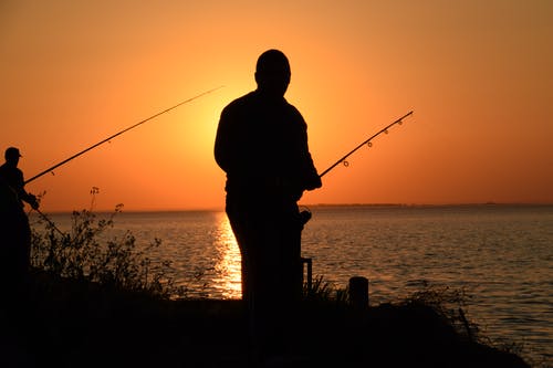 有关剪影, 户外, 日出的免费素材图片