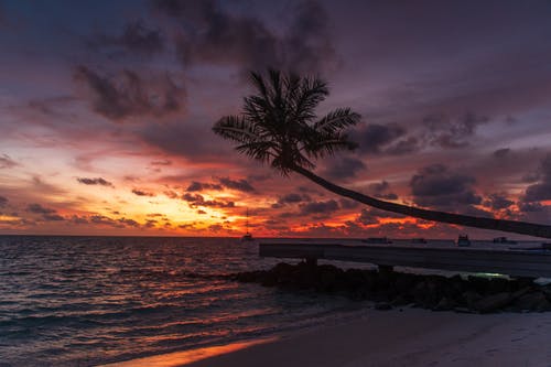 有关假日, 冷静, 剪影的免费素材图片