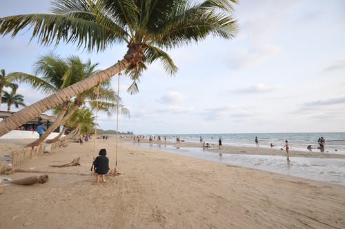 有关人, 假期, 棕榈树的免费素材图片