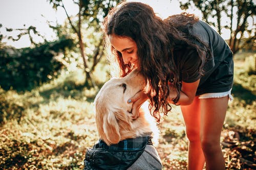 有关一起, 休闲, 伴侣的免费素材图片