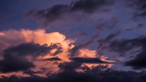 有关多云的, 户外, 日出的免费素材图片