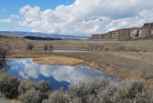 有关中央华盛顿, 华盛顿东部, 反射的免费素材图片