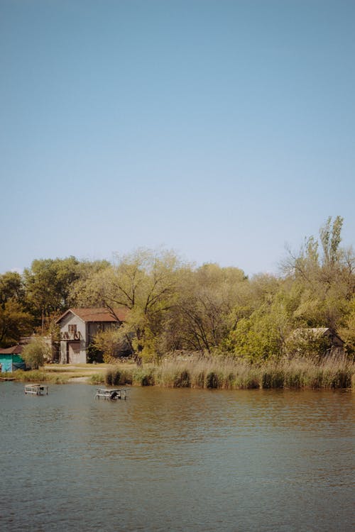 有关冷静, 和平的, 垂直拍摄的免费素材图片