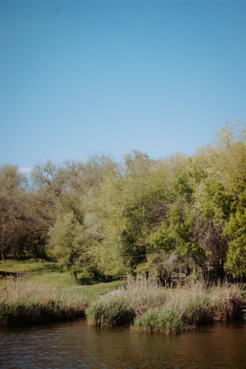 有关冷静, 和平的, 垂直拍摄的免费素材图片