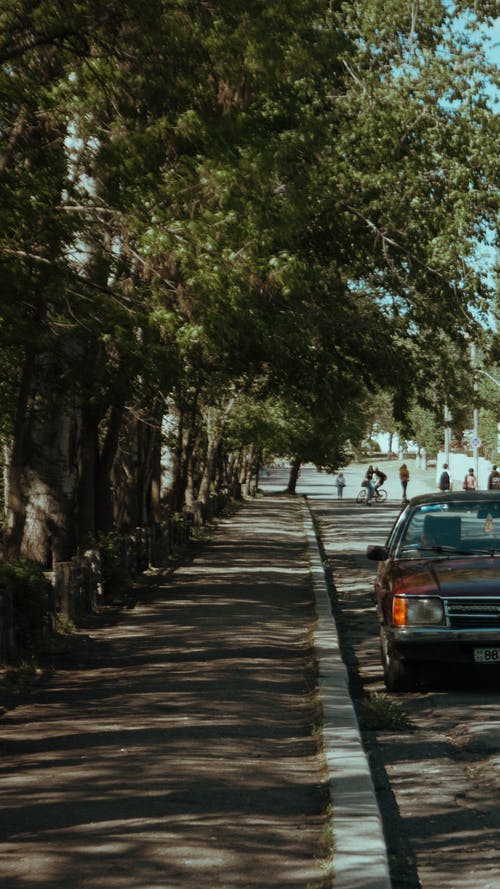 有关人行道, 停, 区域的免费素材图片