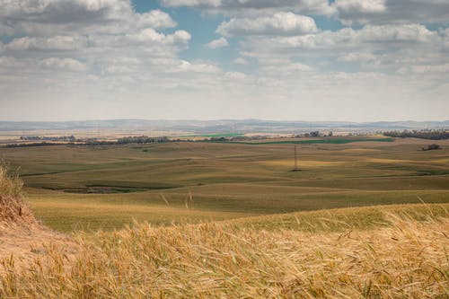 有关Copyspace, 乾的, 冷靜的免费素材图片