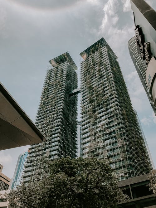 有关中央, 从下面, 和平的的免费素材图片