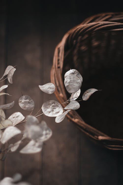 有关乾的, 作文, 元素的免费素材图片