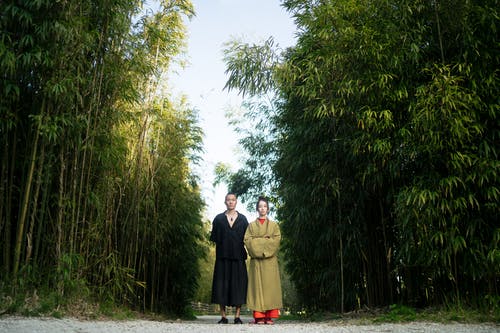 有关一对, 一起, 东的免费素材图片