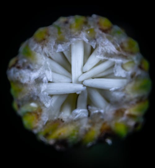 有关一般開銷, 不吹, 俯視圖的免费素材图片