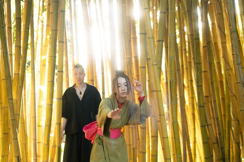 有关一对, 一起, 东的免费素材图片