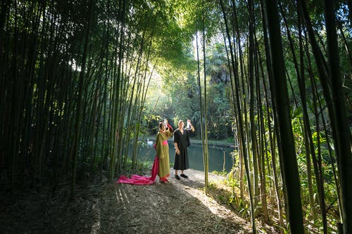 有关一对, 一起, 东的免费素材图片