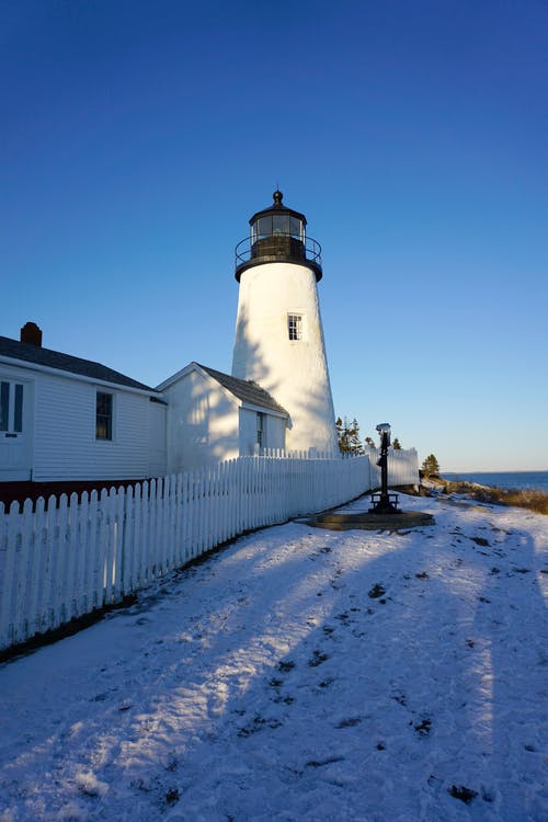 有关冬季, 冷, 垂直拍摄的免费素材图片