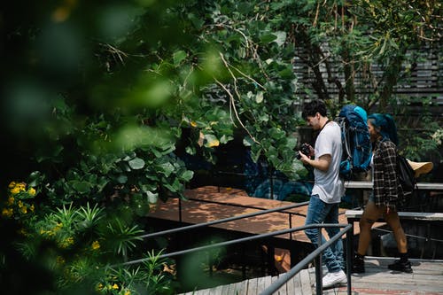 有关一對, 一起, 乐天派的免费素材图片