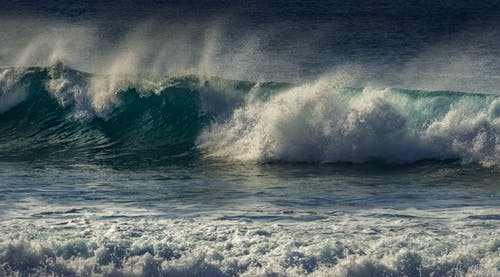 有关天性, 招手, 海的免费素材图片