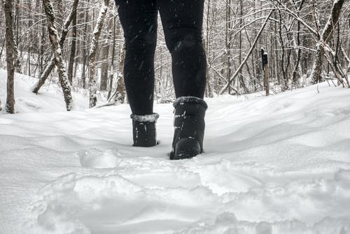 有关冬季, 季节, 步行的免费素材图片