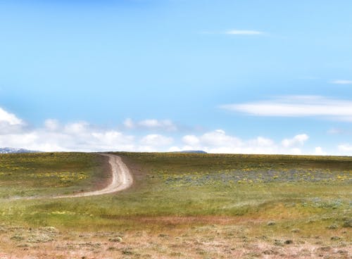 有关中央华盛顿, 路, 野花的免费素材图片