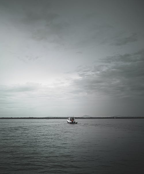 有关冷静, 单色, 垂直拍摄的免费素材图片