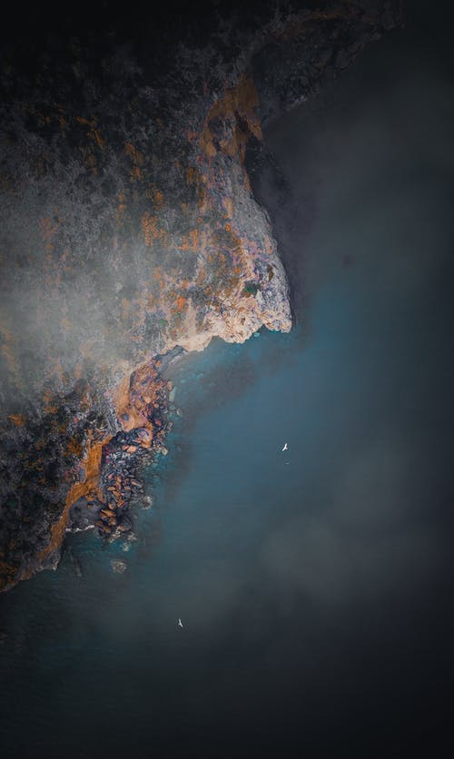 有关不变, 冷靜, 华丽的的免费素材图片