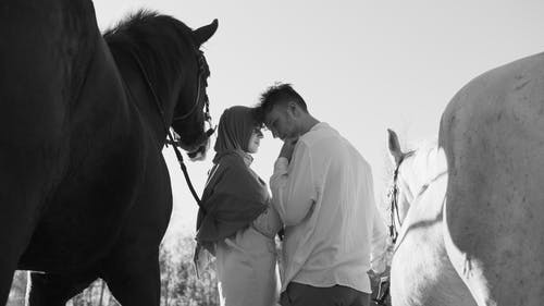 有关一对, 一起, 单色的免费素材图片