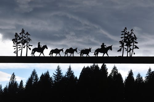 有关剪影, 暴風雨, 牛仔的免费素材图片