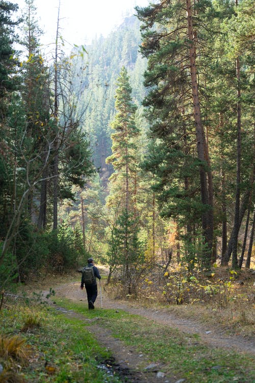 有关人, 休閒, 冒險的免费素材图片