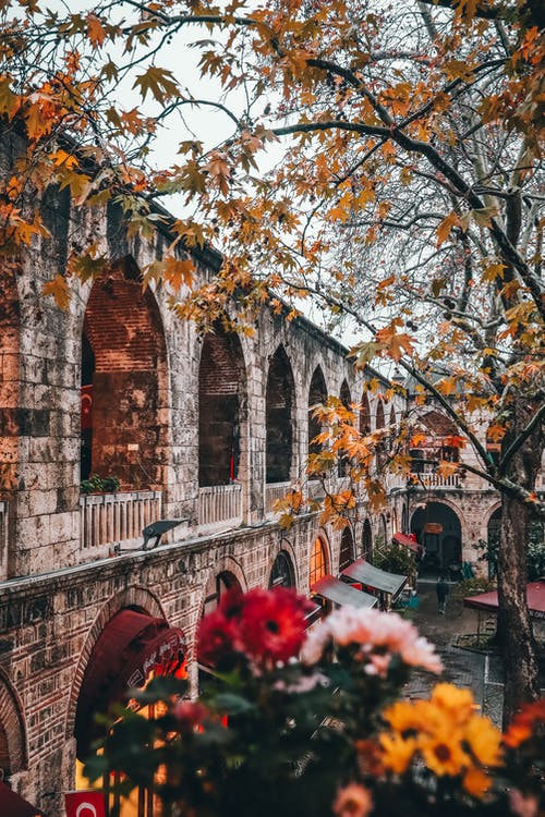 有关下落, 中世紀, 傳統的免费素材图片