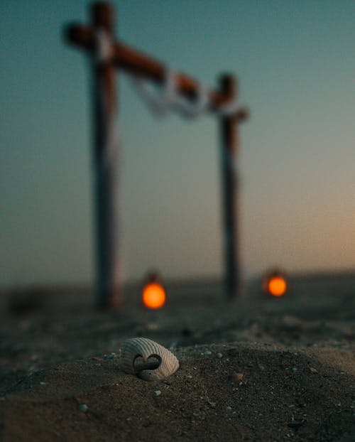 有关垂直拍摄, 模糊的背景, 特写的免费素材图片