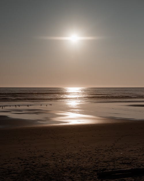 有关低潮, 地平线, 垂直拍摄的免费素材图片