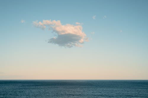 有关冷静, 卧龙岗, 和平的的免费素材图片