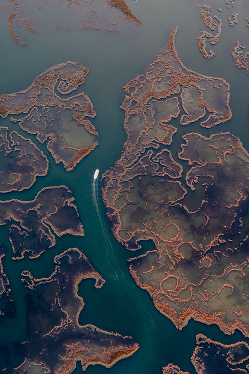 有关Copyspace, 冷靜, 土耳其藍的免费素材图片