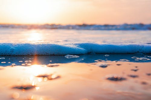 有关岸边, 日出, 日落的免费素材图片