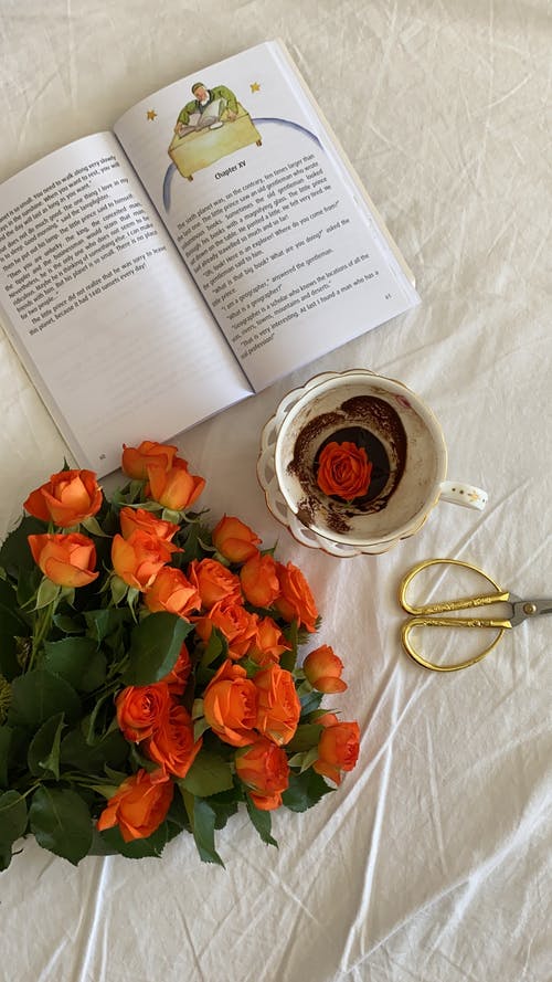 有关Flatlay, 垂直拍摄, 打开的书的免费素材图片