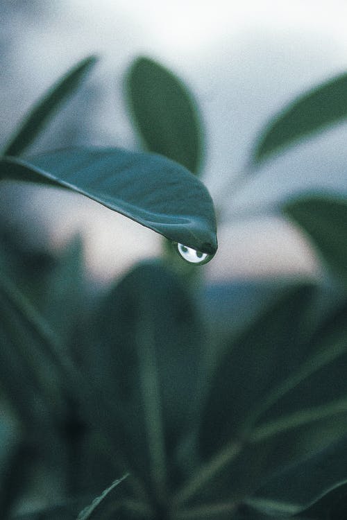 有关后雨, 垂直拍摄, 工厂的免费素材图片