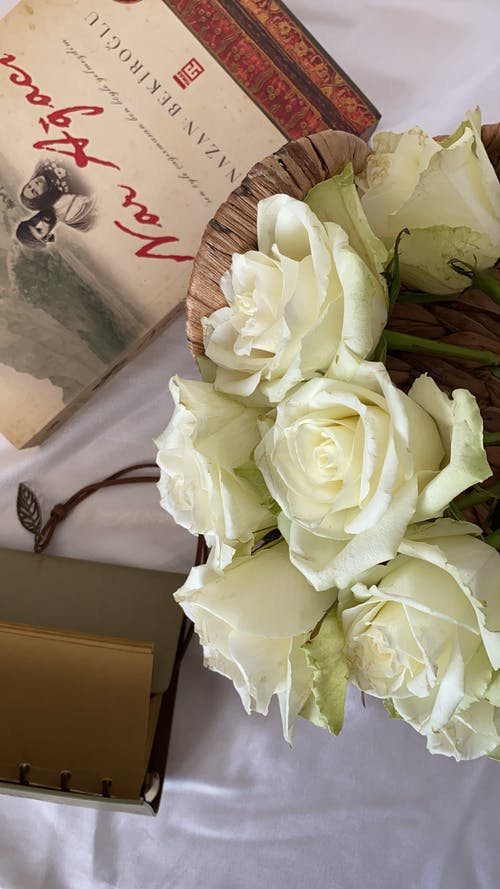 有关垂直拍摄, 小说, 书的免费素材图片