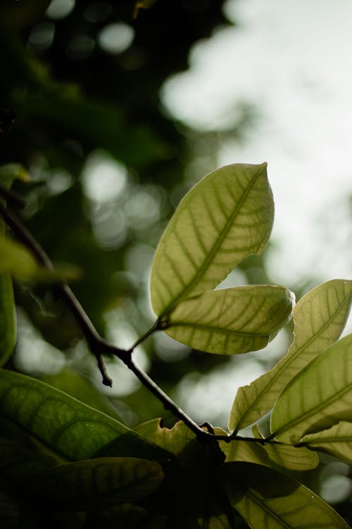 有关分公司, 垂直拍摄, 工厂的免费素材图片