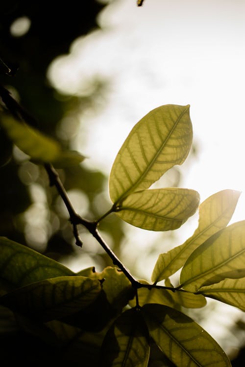 有关分公司, 垂直拍摄, 工厂的免费素材图片