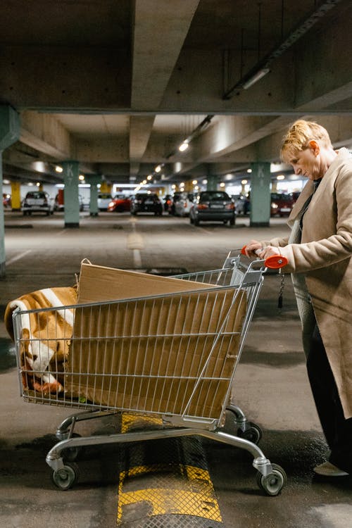 有关停车场, 垂直拍摄, 女人的免费素材图片