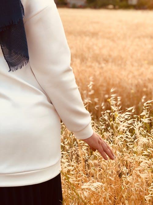 有关接触, 棕色的草, 田的免费素材图片