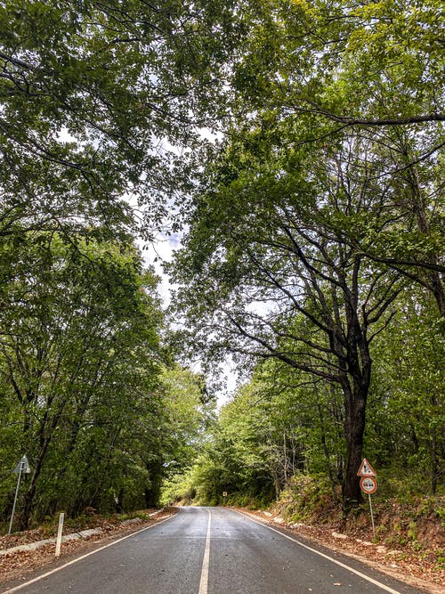 有关交通系统, 垂直拍摄, 基础设施的免费素材图片