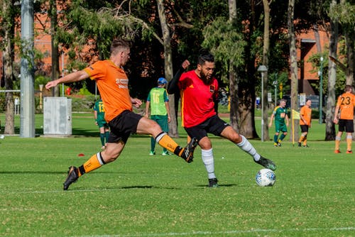 有关户外, 玩家, 球的免费素材图片