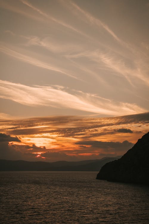 有关剪影, 垂直拍摄, 天性的免费素材图片