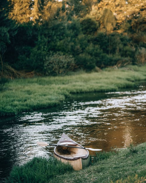 有关垂直拍摄, 天性, 娱乐的免费素材图片