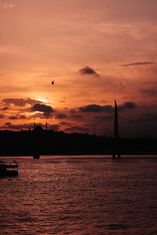 有关剪影, 垂直拍摄, 太阳的免费素材图片