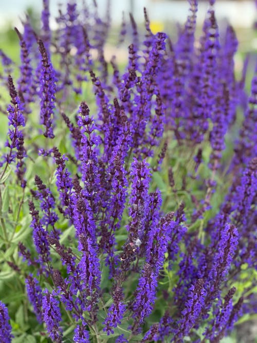 有关垂直拍摄, 天性, 户外的免费素材图片