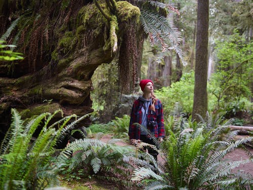 有关原本, 天性, 女人的免费素材图片